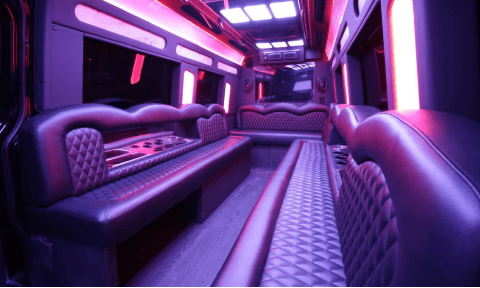 Rockville 14 Passenger Sprinter Bus Interior