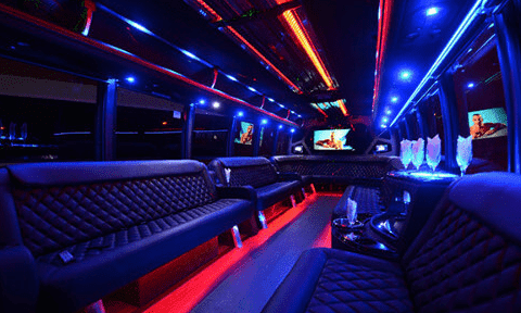 Newport News 30 Passenger Party Bus Black Interior